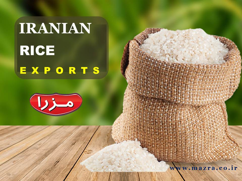 نکاتی که در خصوص صادراتی برنج ایرانی باید بدانیم