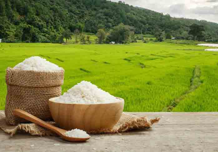 Top 10 rice producer in the world