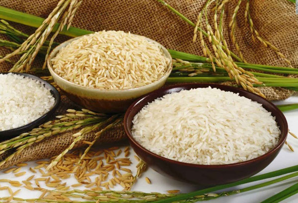 محصولات برنج مزرا