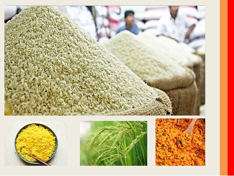 واردات برنج امسال کاهش یافت