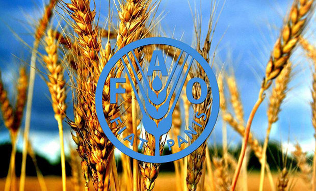به مناسبت روز جهانی غذا؛ فائو درباره تاثیر مخرب کرونا بر اقشار آسیب پذیر هشدار داد به مناسبت روز جهانی غذا؛ فائو درباره تاثیر مخرب کرونا بر اقشار آسیب پذیر هشدار داد